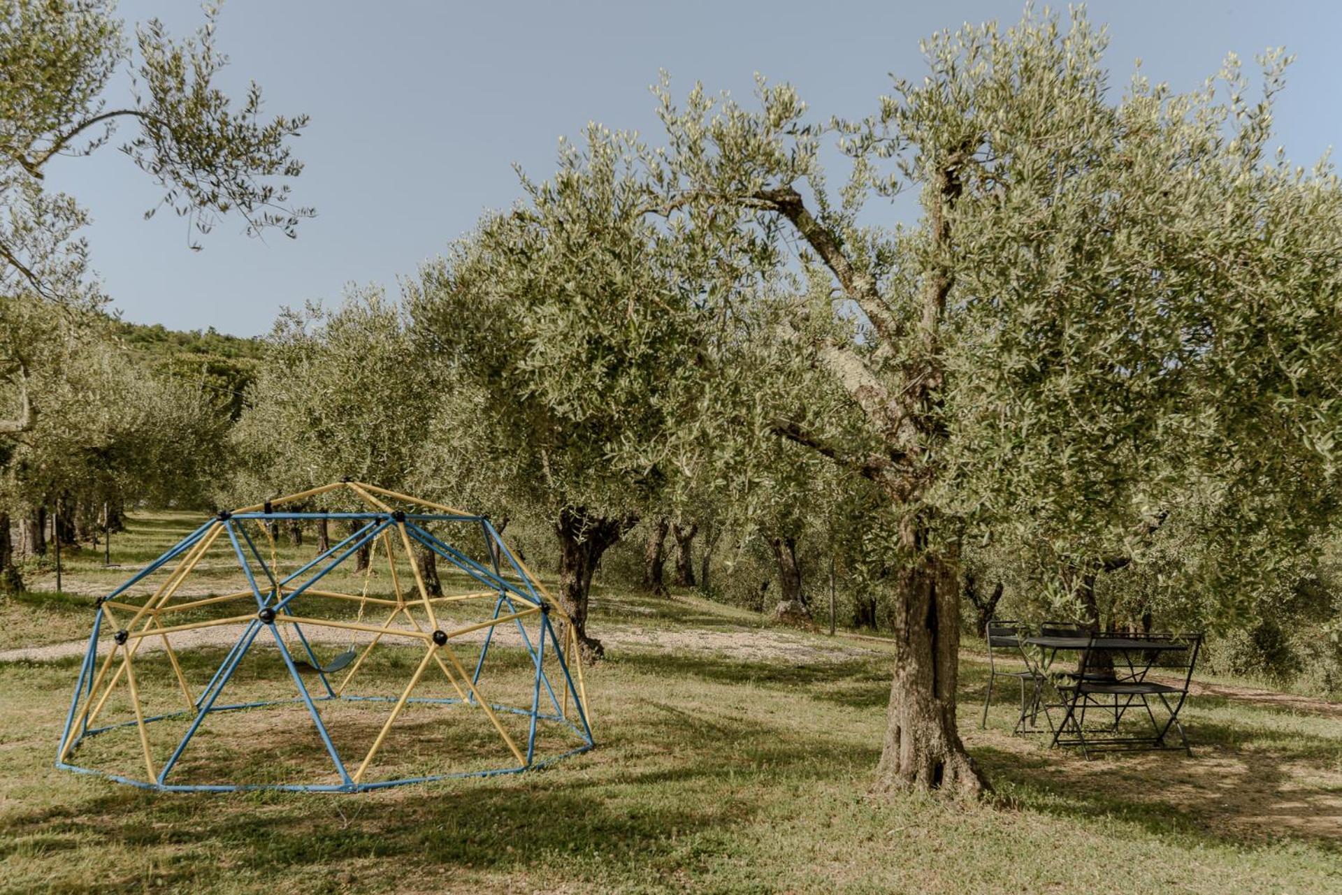 Agriturismo Il Mulino Delle Canutole 마지오네 외부 사진